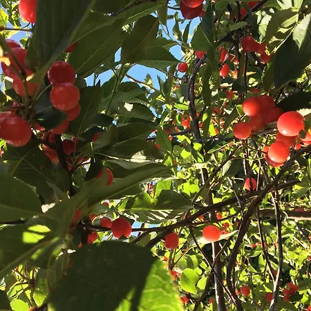 Sant'agata 컨트리하우스